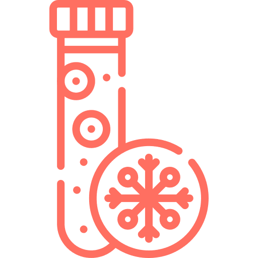 Embryo Cryopreservation