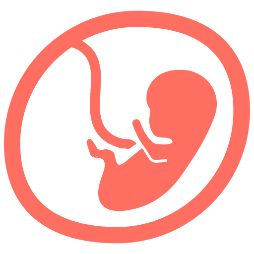 Fetal Growth Scan