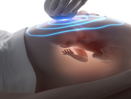 fetal-anomoly-scan 