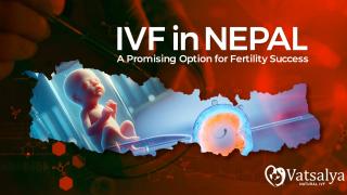 A Promising Option for Fertility Success 